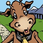 Cow 01