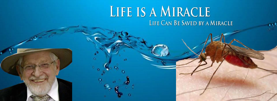 life is a miracle