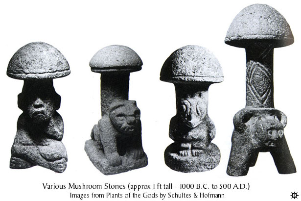 mushrooms stone21