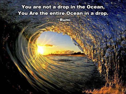 rumi you are the ocean in an entire drop